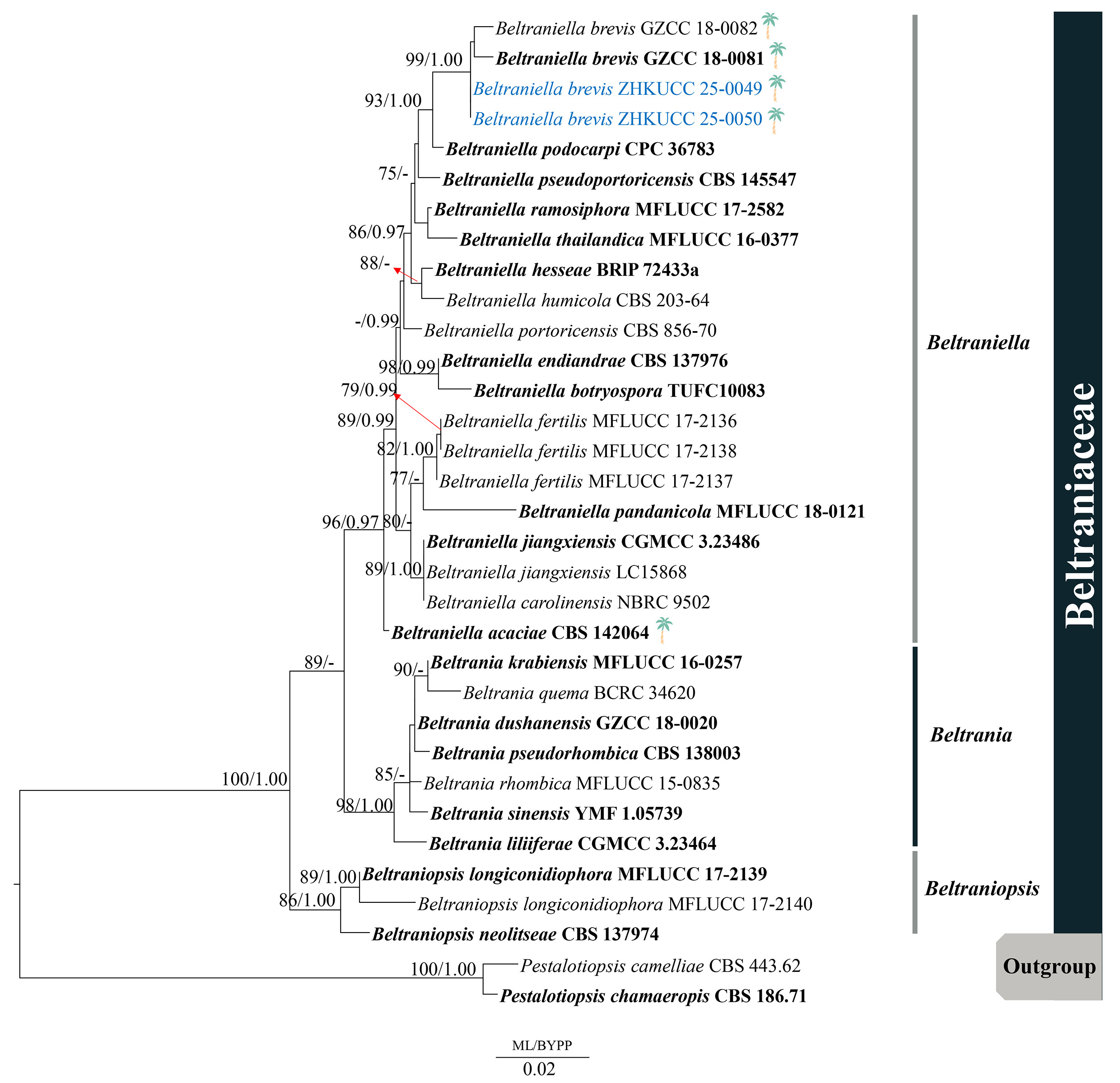 Figure 111